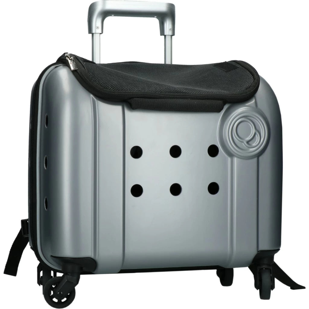 chariot transport chien