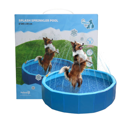 Piscine Rigide pour Chien - Coolpets
