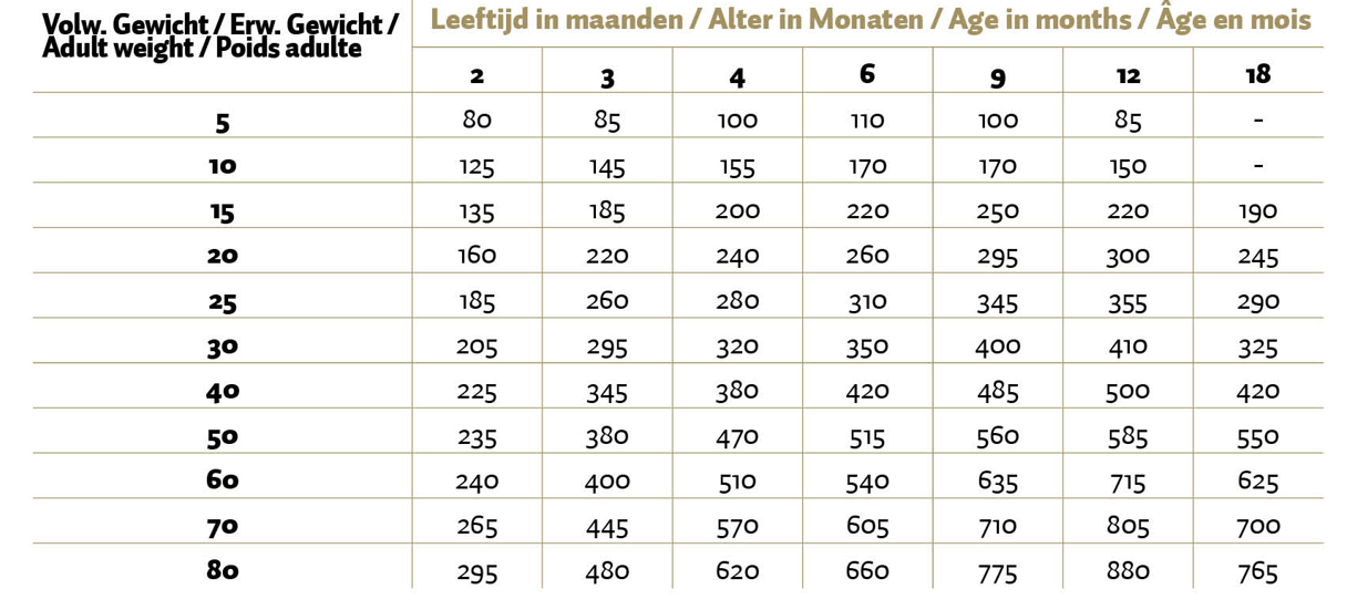Croquette pour Chiot - Max Puppy