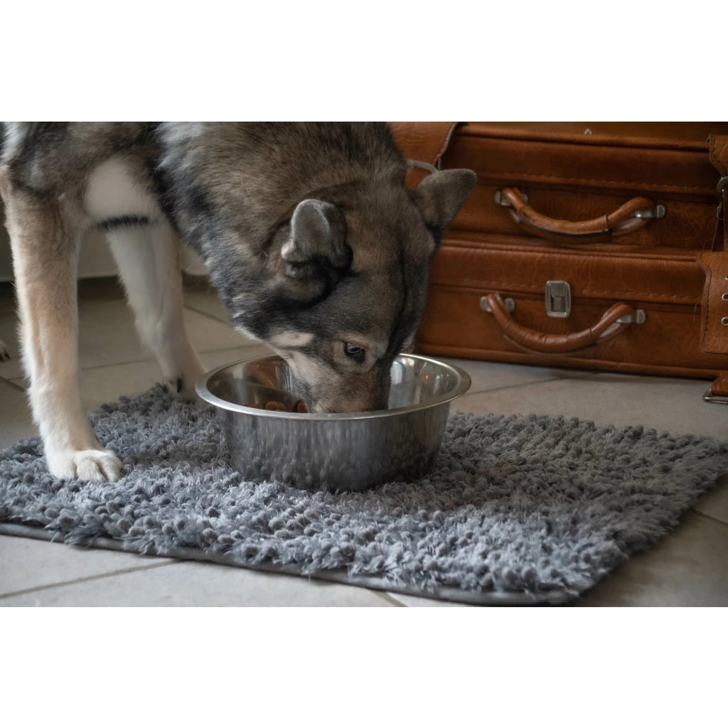 Tapis Anti Derapant Chien - Royal Dry