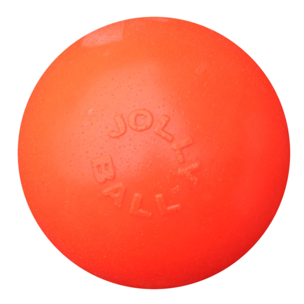 balle-chien-rebondissante-jolly-pets-a