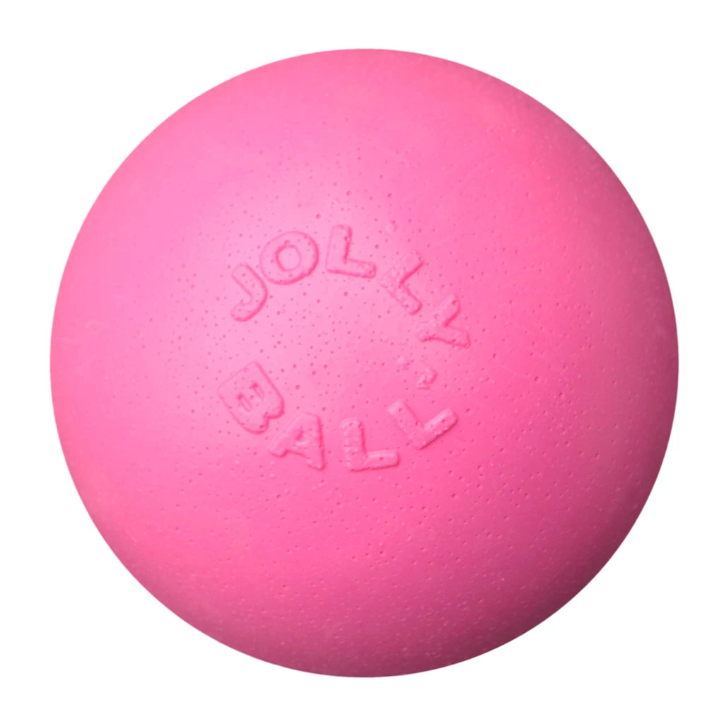 balle-chien-rebondissante-jolly-pets-b