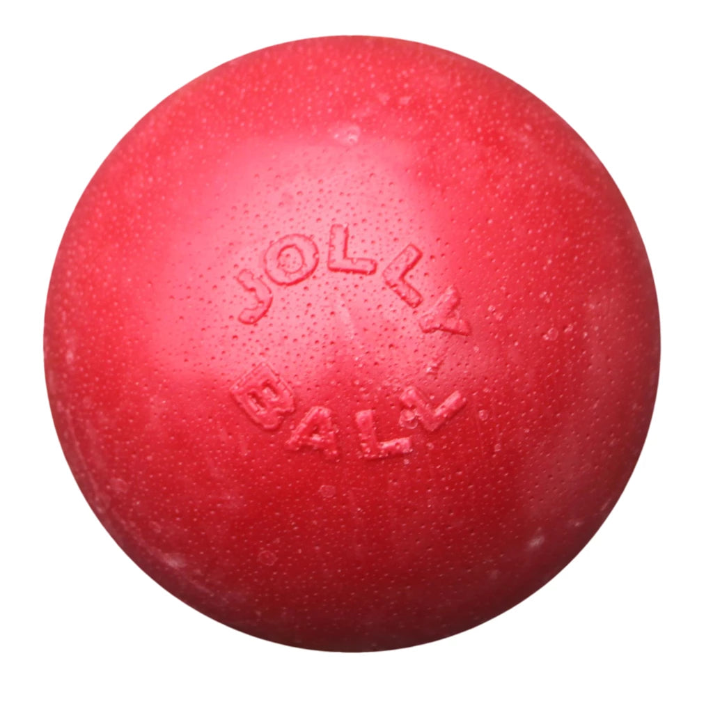 balle-chien-rebondissante-jolly-pets-c