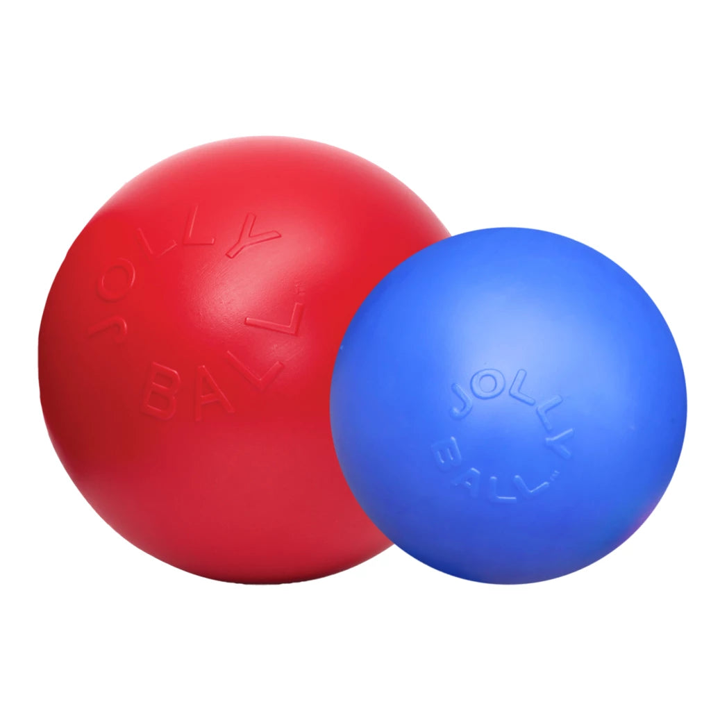 ballon-resistant-pour-chien-jolly-pets-b