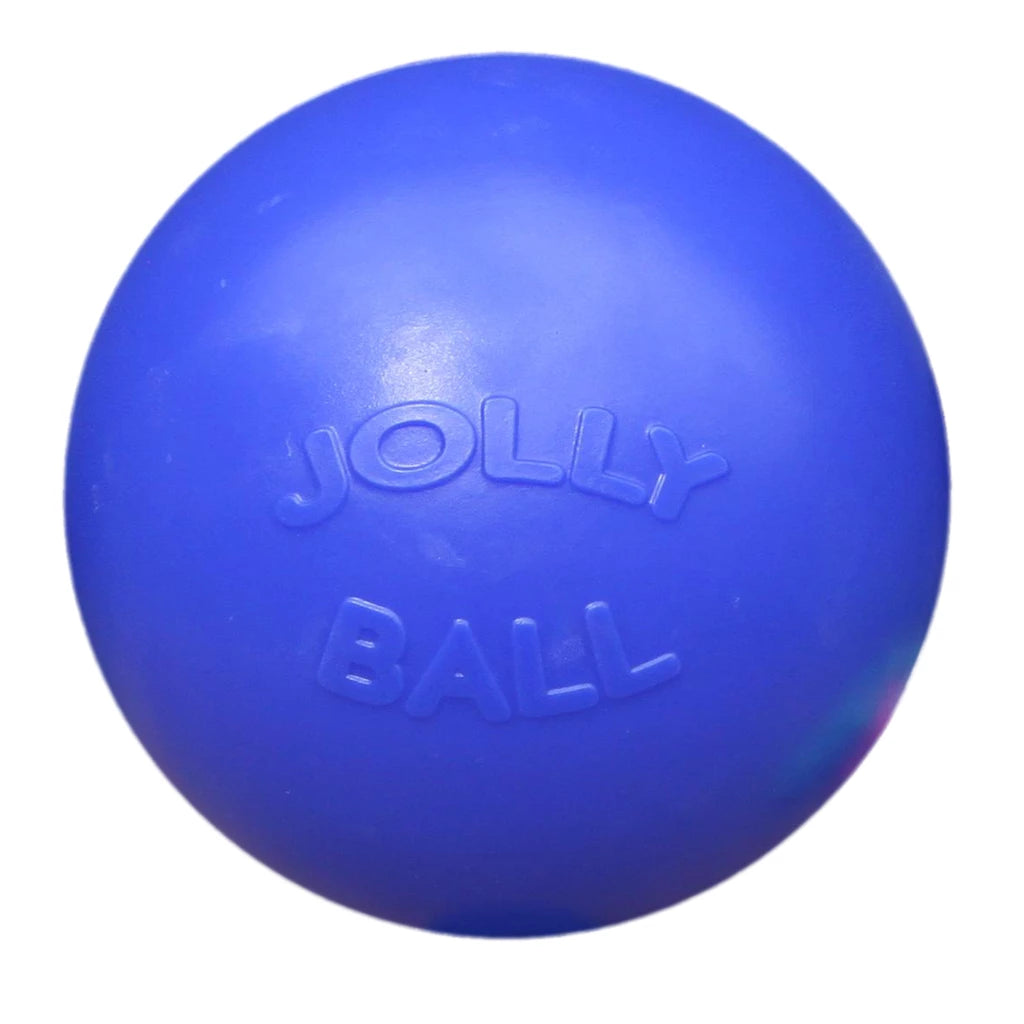 ballon-resistant-pour-chien-jolly-pets-c