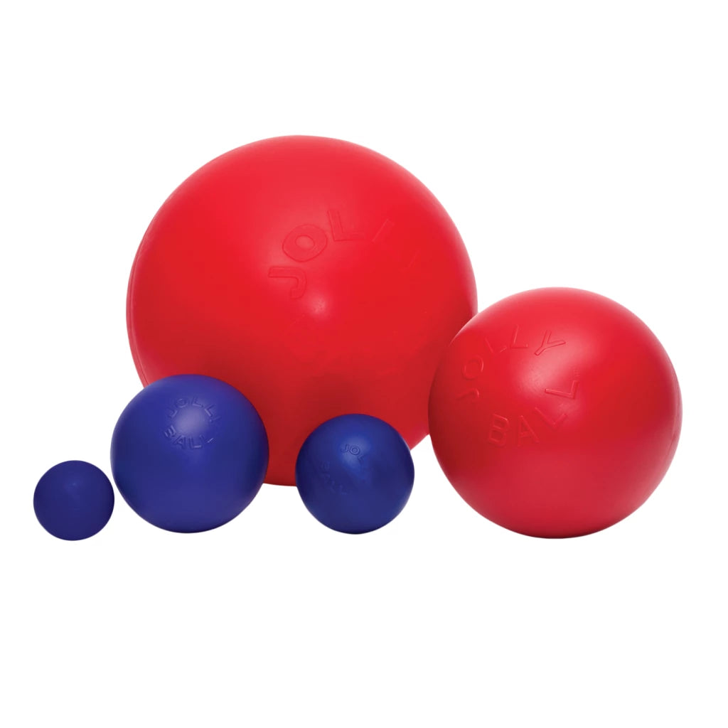 ballon-resistant-pour-chien-jolly-pets-d