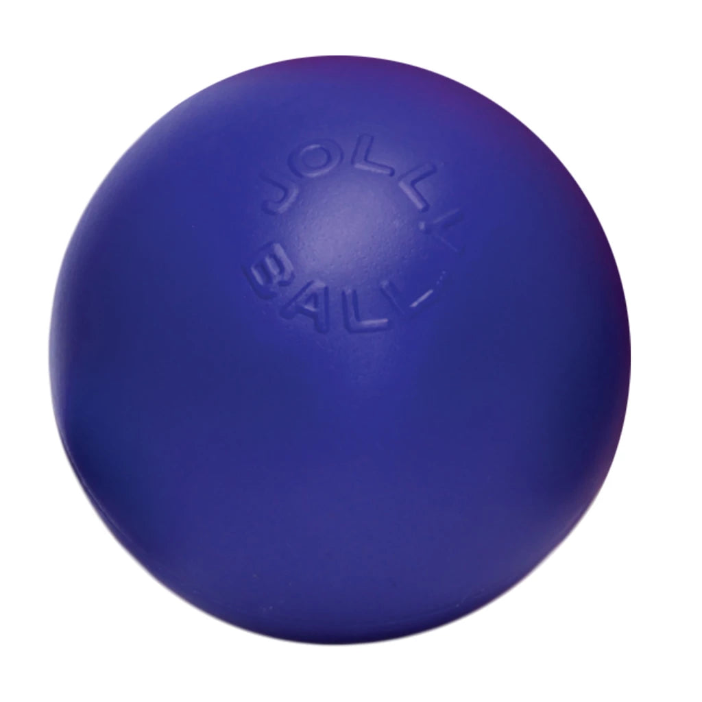 ballon-resistant-pour-chien-jolly-pets