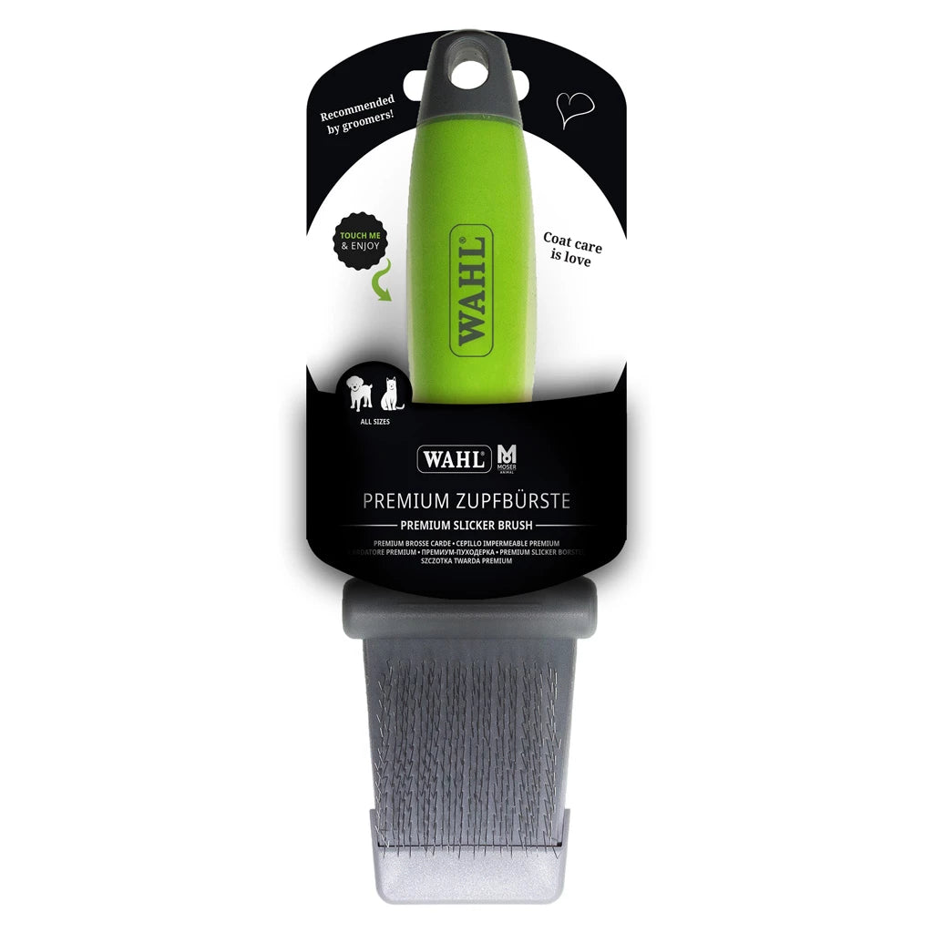 brosse-chien-poil-long