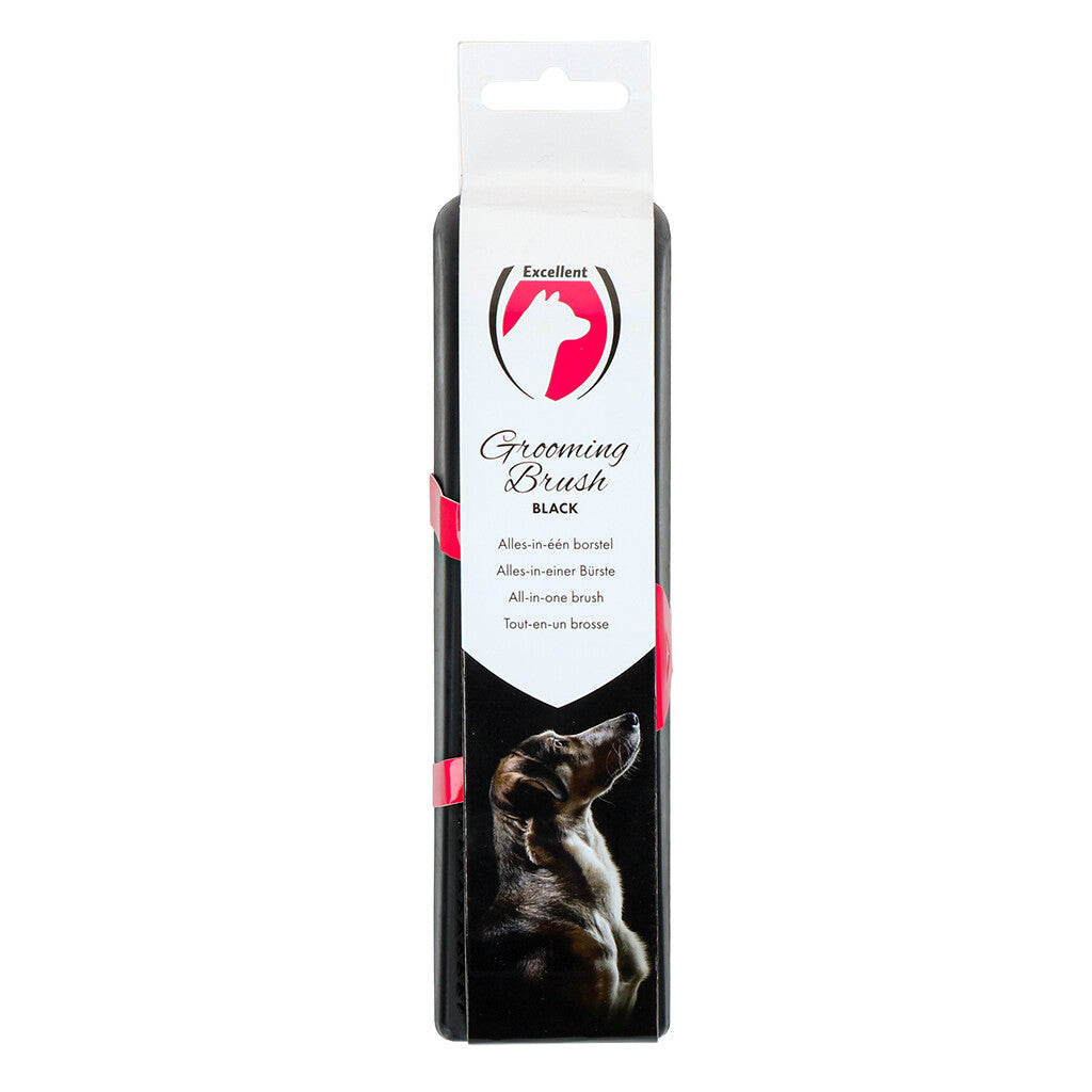 brosse-toilettage-chien