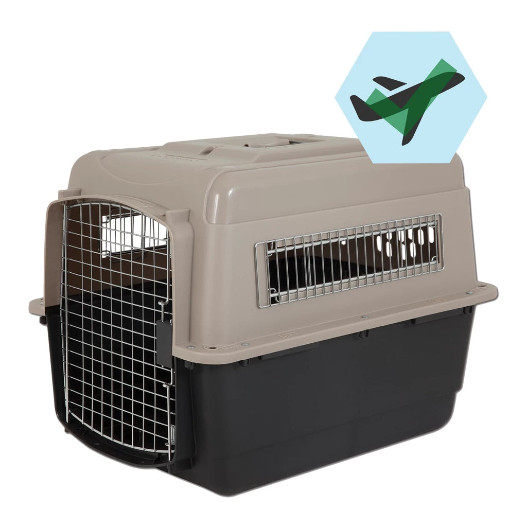 caisse-de-transport-chien-pratique