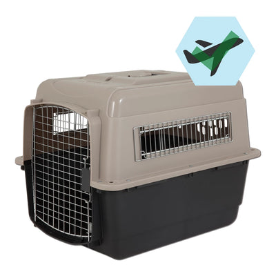 caisse-de-transport-chien-pratique