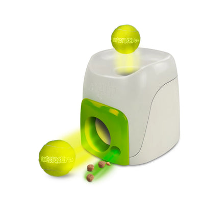 distributeur-de-nourriture-interactif-jouet-chien-afp