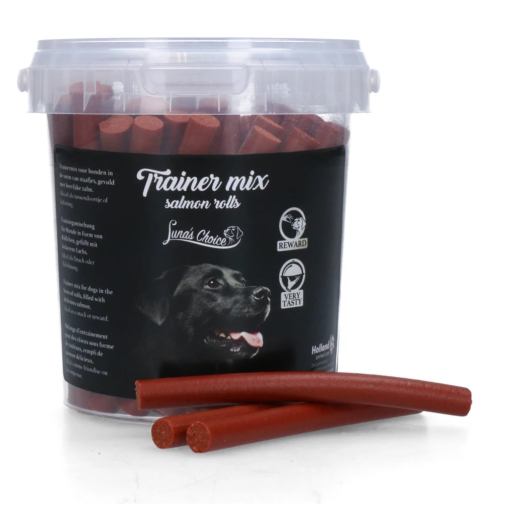 friandise-entrainement-chien-au-saumon