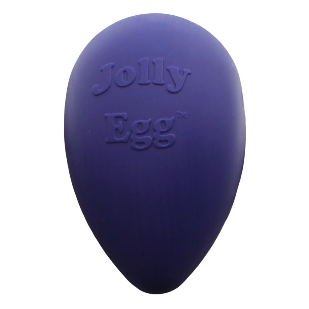 jouet-indestructible-chien-jolly-pets-bon-df