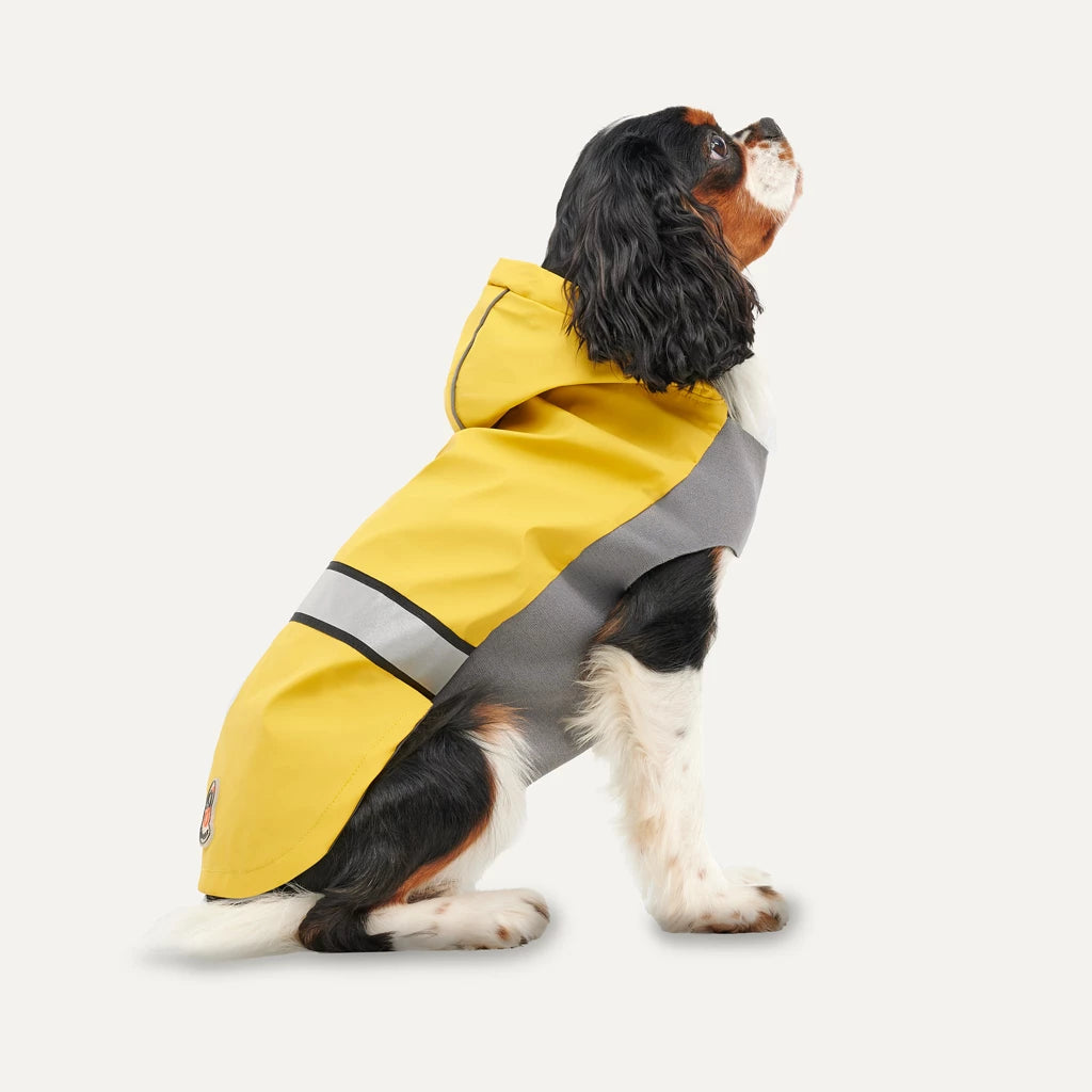 manteau-chien-impermeable-goo-eez