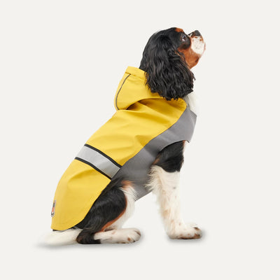 manteau-chien-impermeable-goo-eez