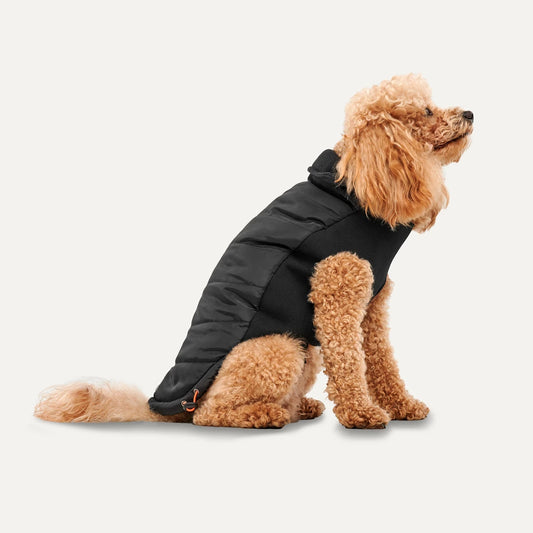manteau-pour-chien-goo-eez