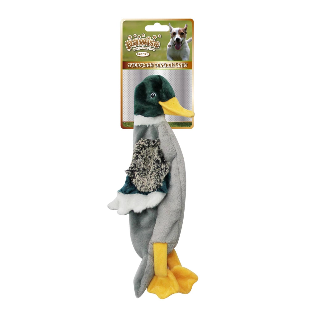 peluche-resistante-chien-pawise