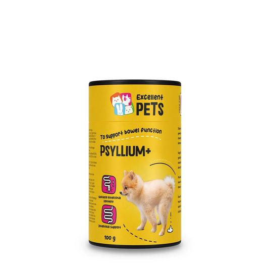 psyllium-pour-chien-excellent-pets