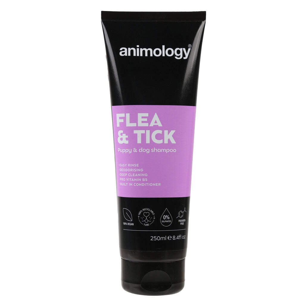 shampoing-anti-puce-chien-animology-flea-tick