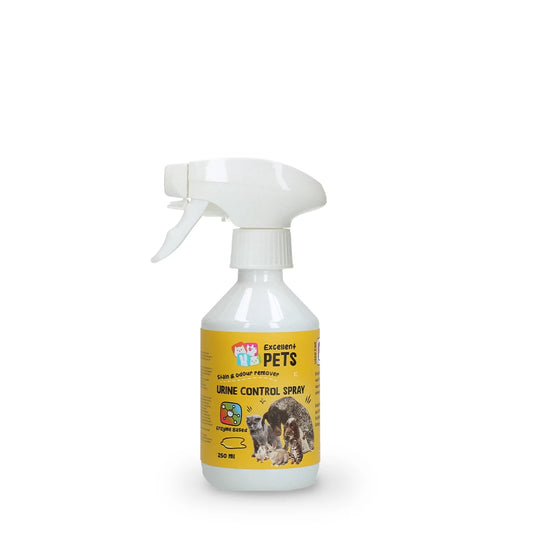 spray-enzymatique-chien