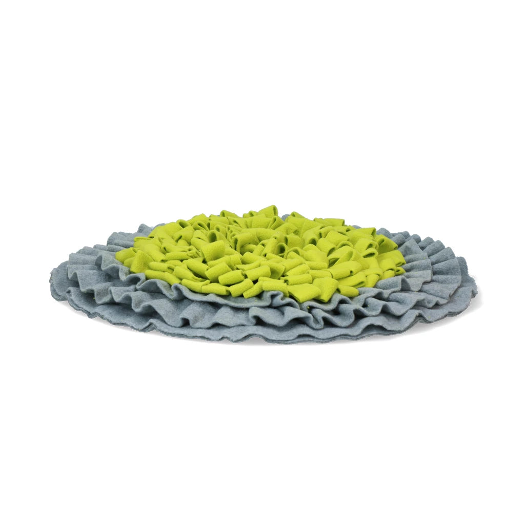 tapis-fouille-chien-afp-aa