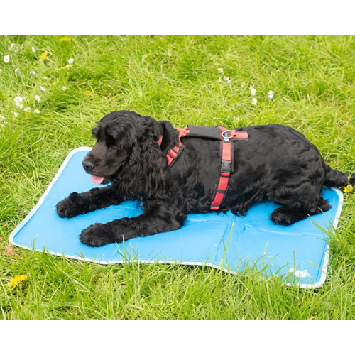 tapis-pour-chien-rafraichissant-coolpets-aa