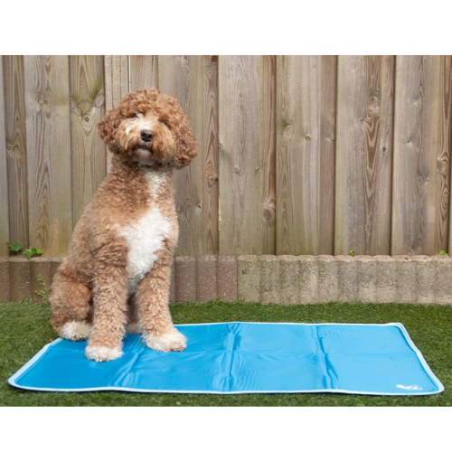 tapis-pour-chien-rafraichissant-coolpets-bb