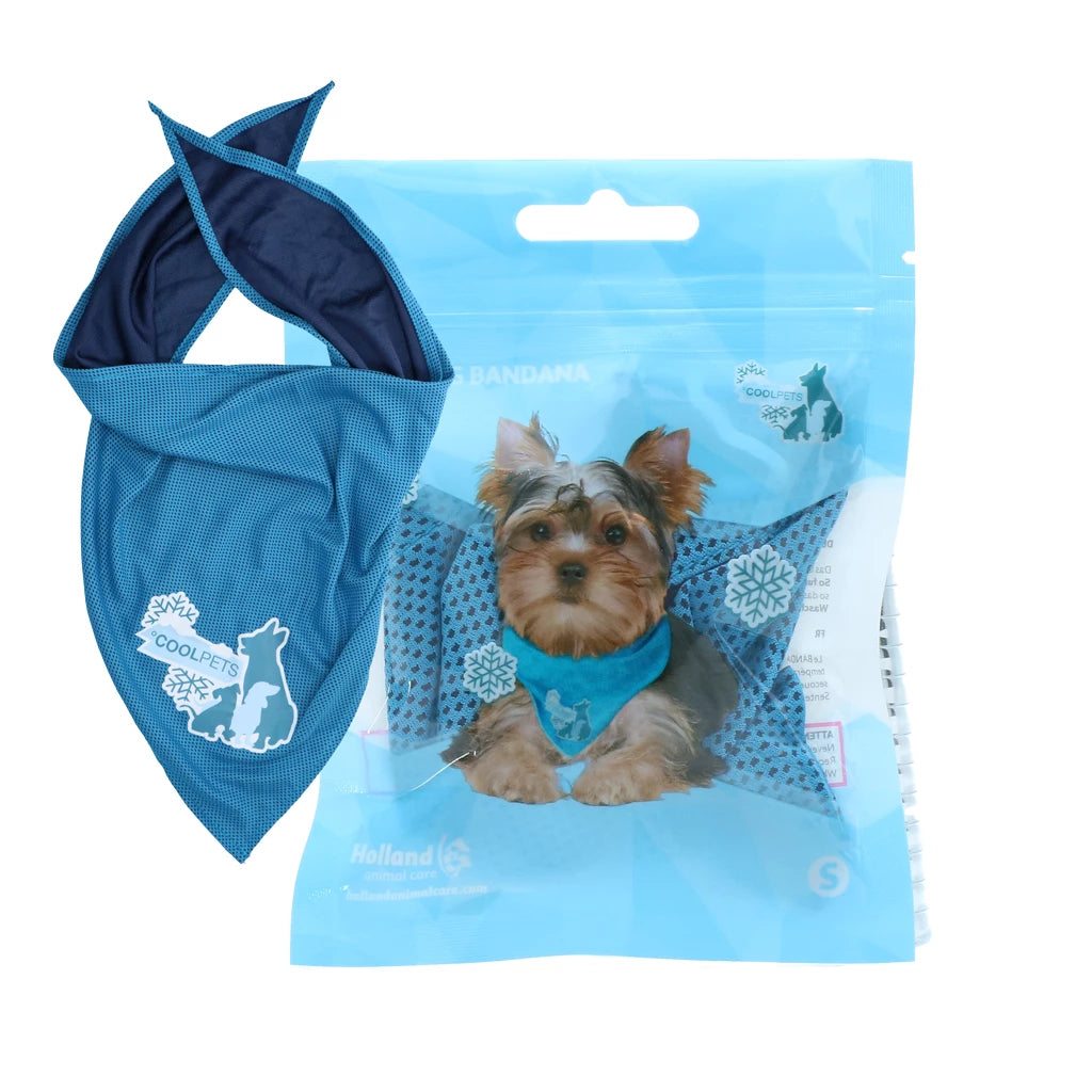 Bandana Rafraichissant Chien