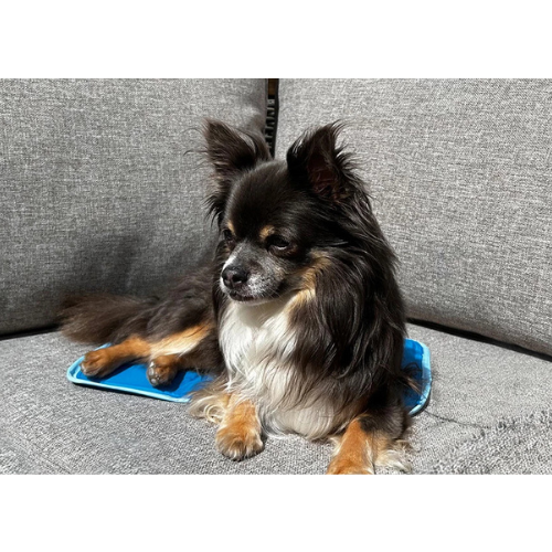 Tapis pour Chien Rafraichissant - CoolPets