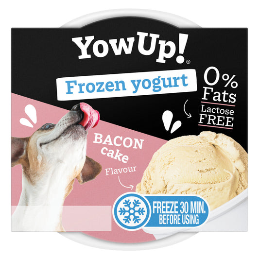 Frozen Yogurt Chien au Bacon 12pcs - YowUp !