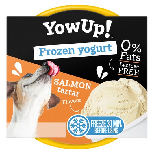 Frozen Yogurt Chien Tartare de Saumon 12pcs - YowUp !