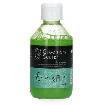 Shampooing pour Chien Eucalyptus - Secret des toiletteurs