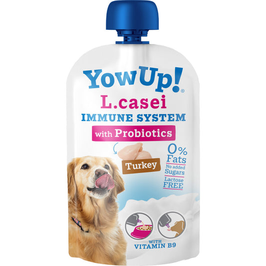 Yaourt Probiotique Chien Dinde 10pcs - YowUp!