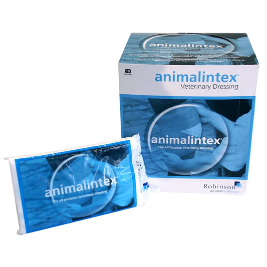 Pansement pour Chien