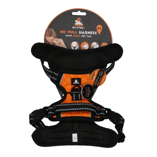 Harnais pour chien anti traction Orange - Spotted! Pro