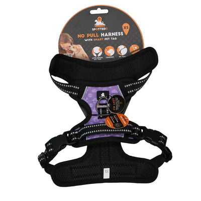 Harnais Anti Traction Chien Violet - Spotted! Pro