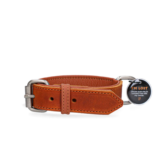 Collier pour Chien en Cuir - Spotted! Pro
