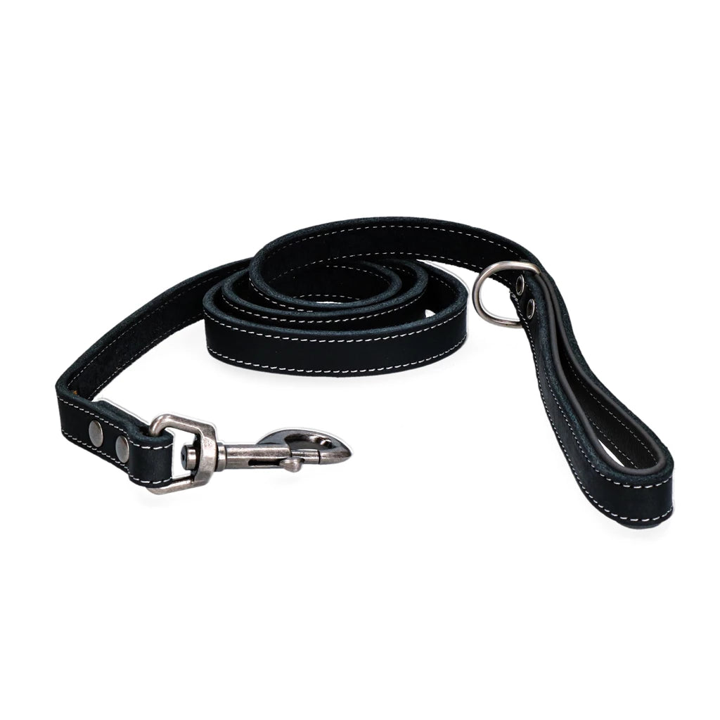 Laisse Cuir Chien - Spotted! Pro