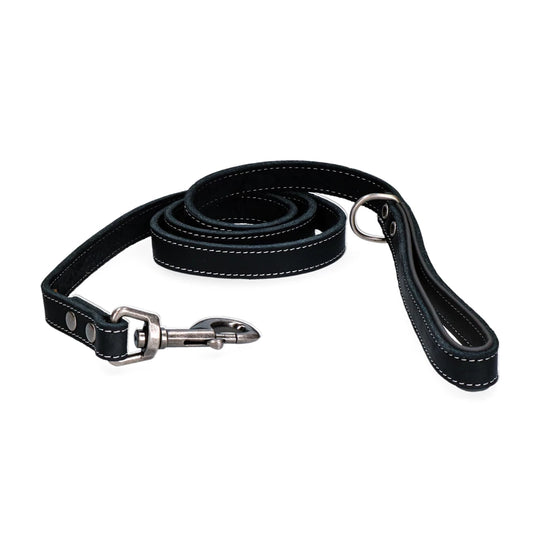 Laisse Cuir Chien - Spotted! Pro