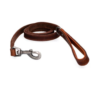 Laisse Cuir Chien - Spotted! Pro