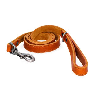 Laisse Cuir Chien - Spotted! Pro
