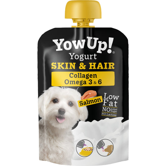 Yaourt Nature Chien au Saumon 10pcs - YowUp!