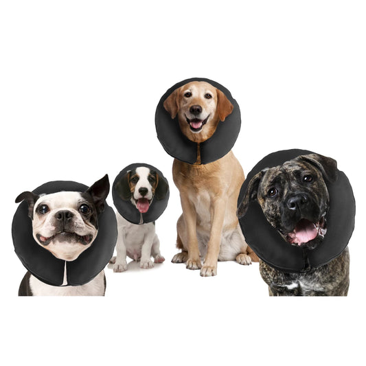 Collier Gonflable pour Chien - Zenpet
