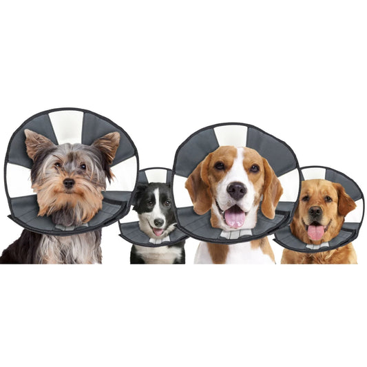 Collerette Souple pour Chien - Zenpet