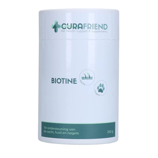 biotine-chien-curafriend