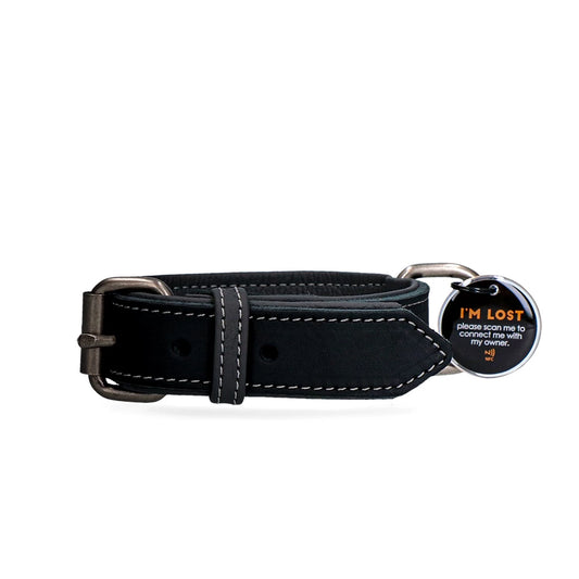 collier-chien-cuir
