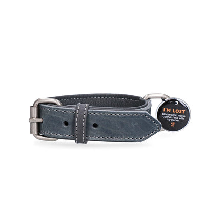 collier-cuir-chien-spotted-pro