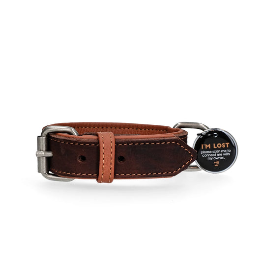 collier-en-cuir-pour-chien-spotted-pro