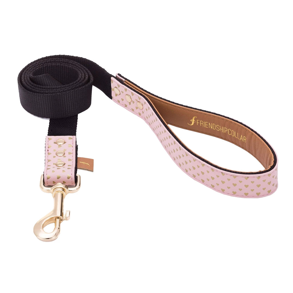 collier-laisse-chien-friendship-collar